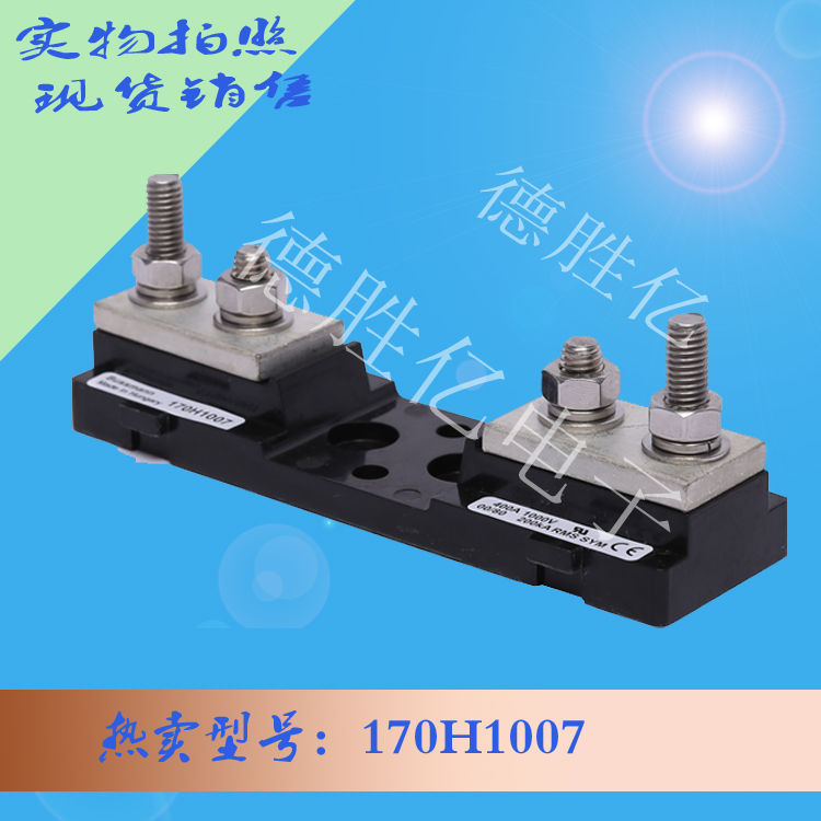 170H1007.jpg