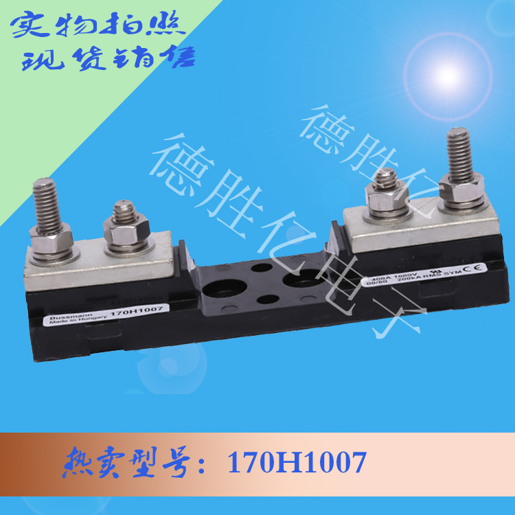 170H1007 2.jpg