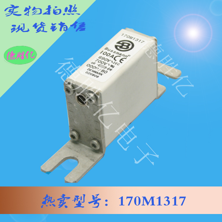 170M1317.jpg 170M1317.jpg