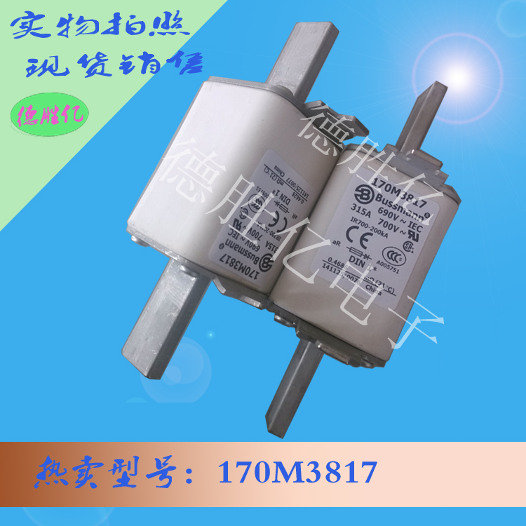 170M3817 1.jpg