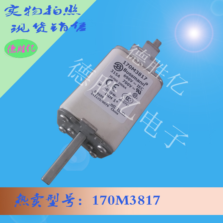 170M3817.jpg