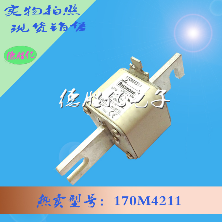 170M4211.jpg 170M4211.jpg