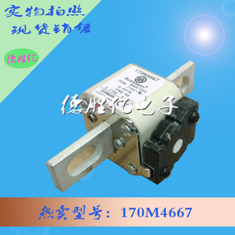 170M4667.jpg 170M4667.jpg