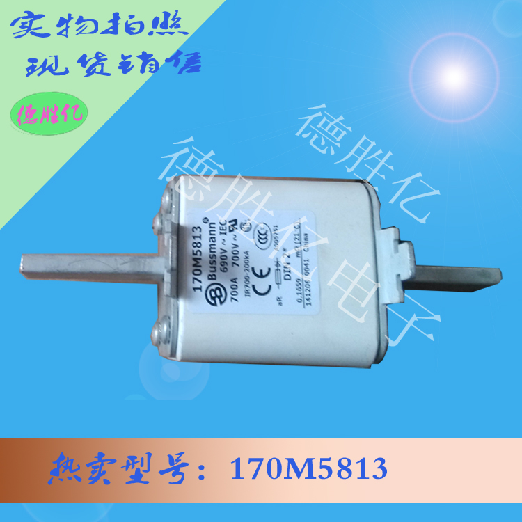 170M5813 1.jpg