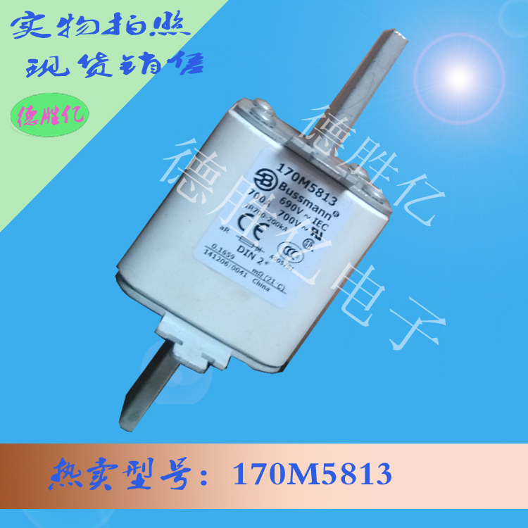 170M5813.jpg