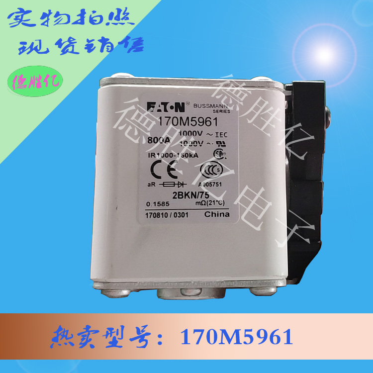 170M5961 1.jpg