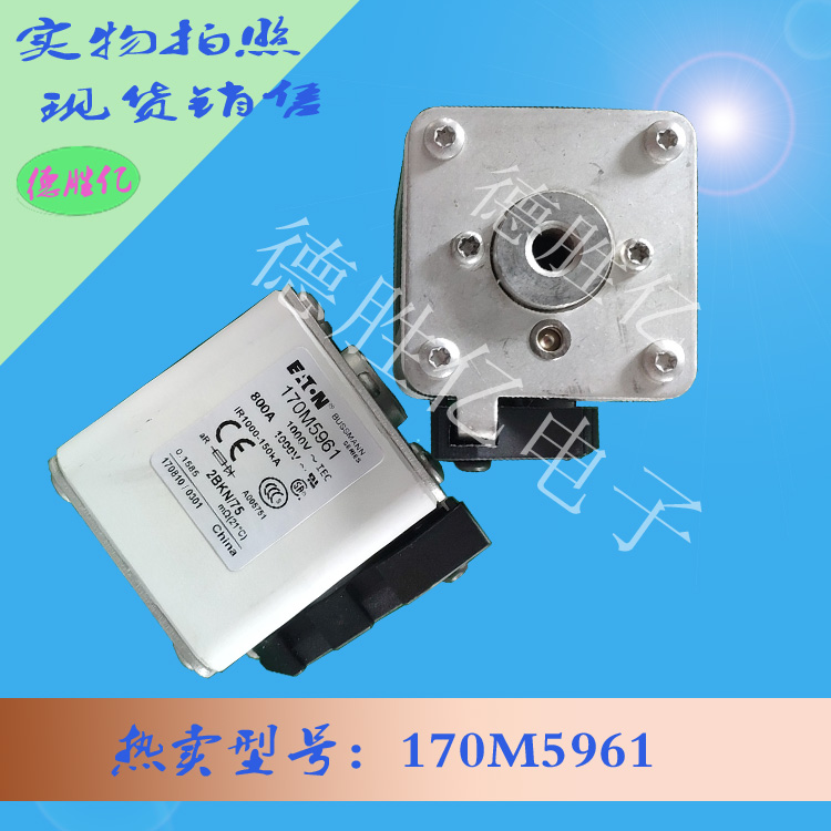 170M5961.jpg
