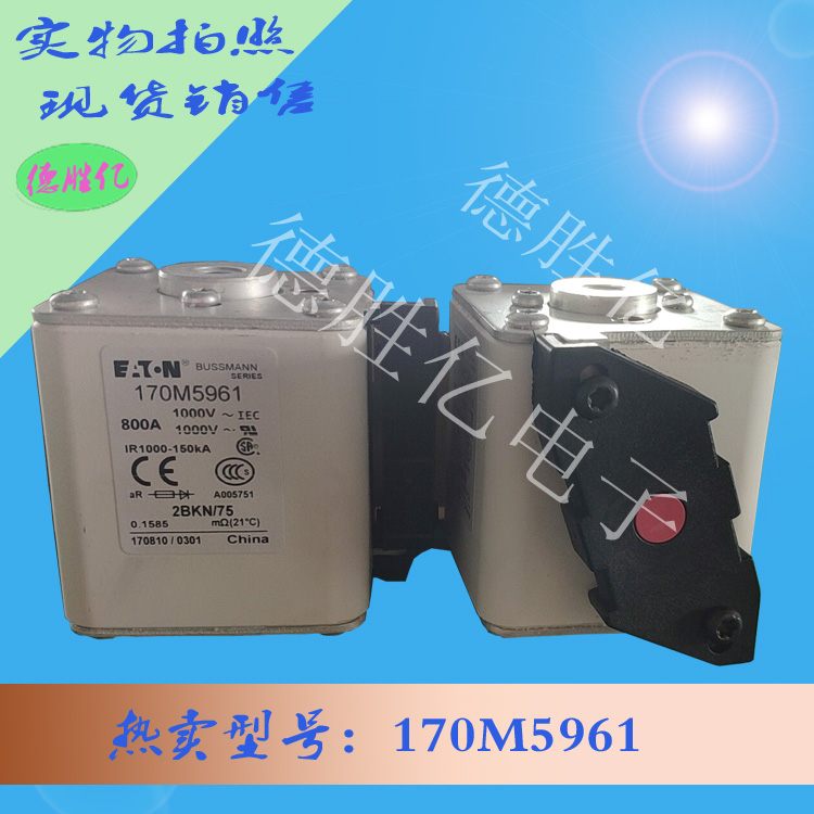 170M5961 2.jpg