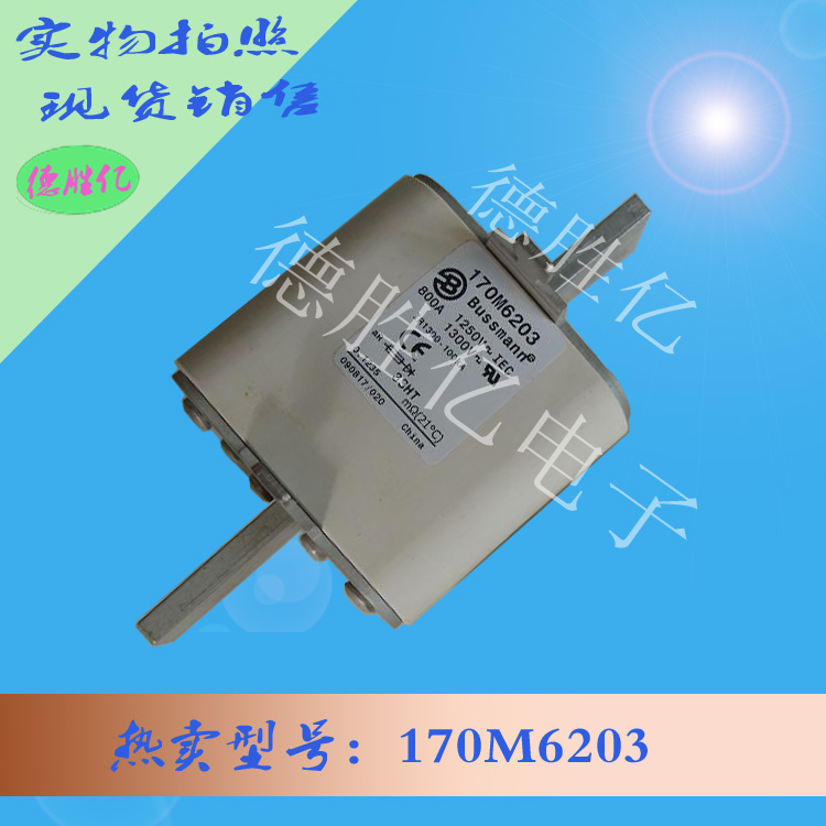 170M6203.jpg
