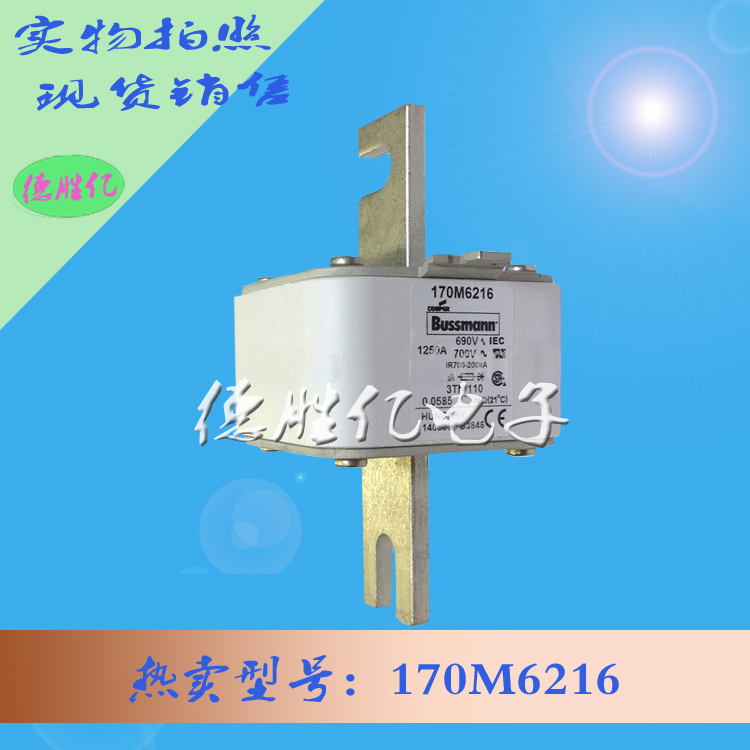 170M6216.jpg 170M6216.jpg