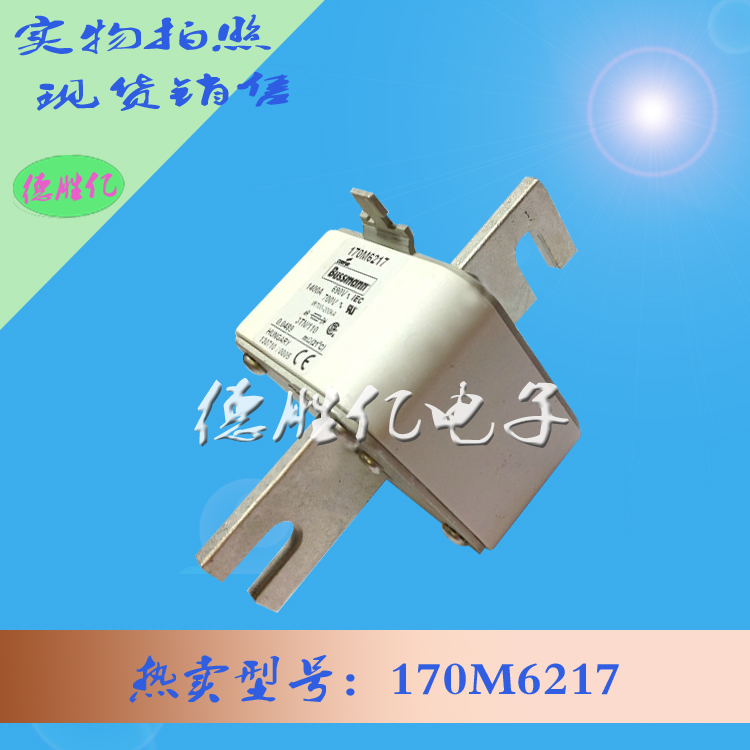 170M6217.jpg 170M6217.jpg
