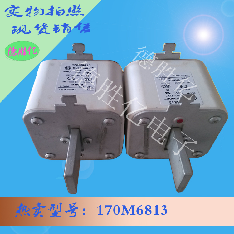 170M6813.jpg 170M6813.jpg