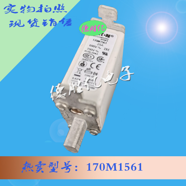 170M1561.jpg 170M1561.jpg