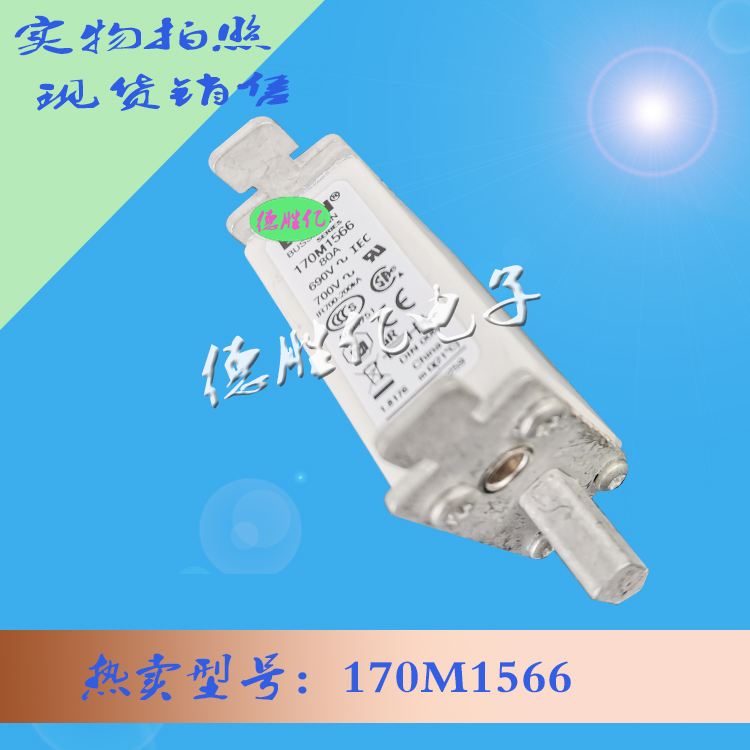 170M1566.jpg 170M1566.jpg