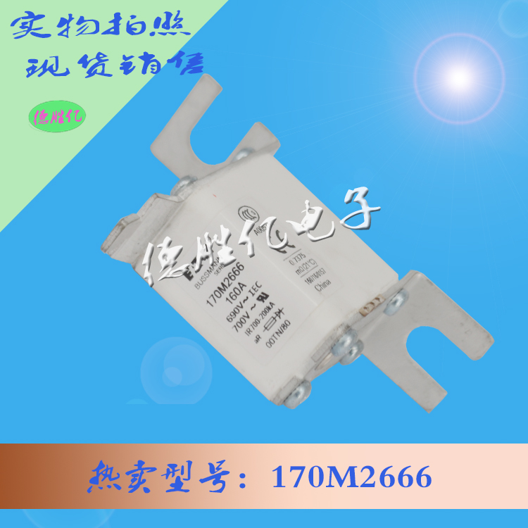 170M2666.jpg 170M2666.jpg