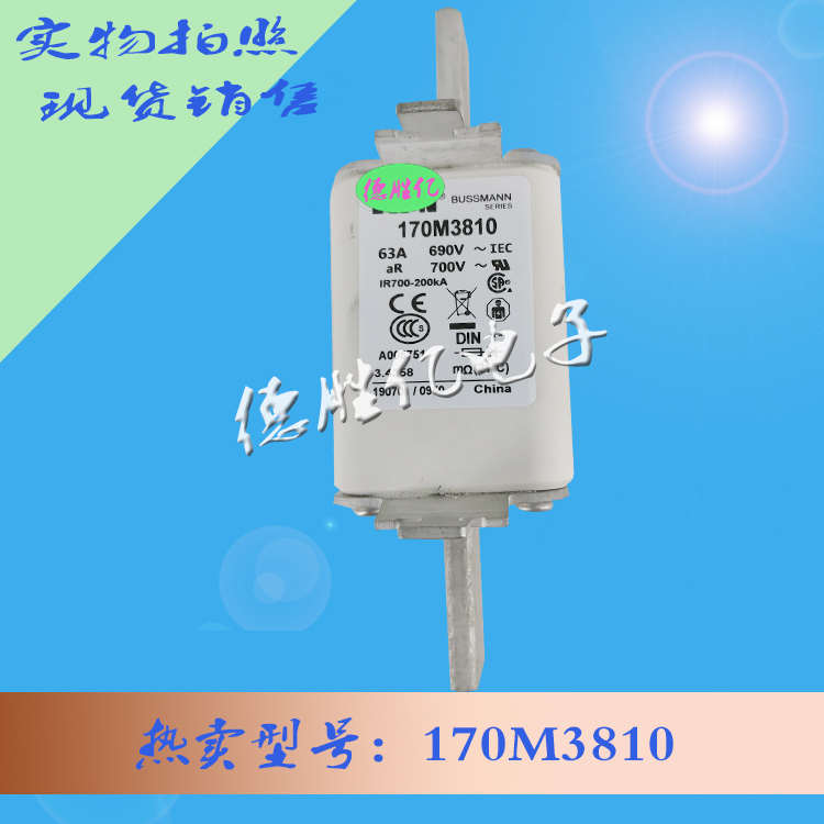 170M3810 .jpg