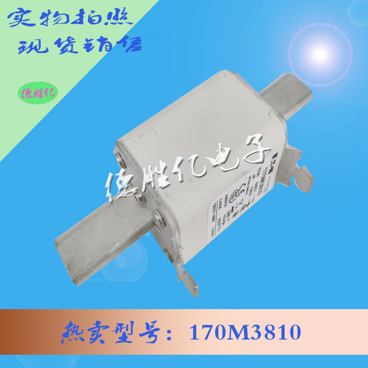 170M3810 1 .jpg