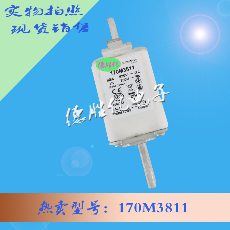 170M3811 1  .jpg