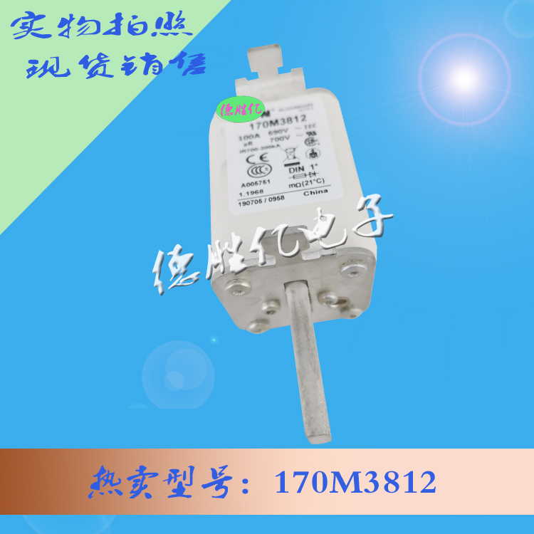 170M3812.jpg