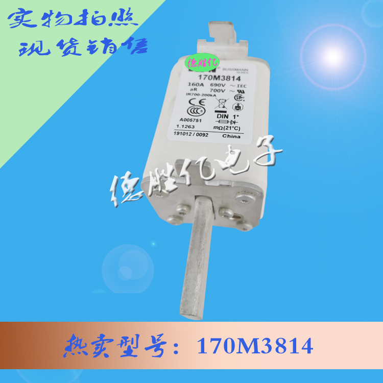 170M3814.jpg