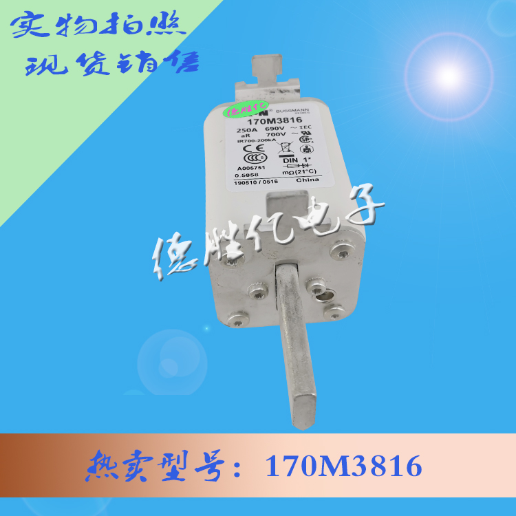 170M3816.jpg 170M3816.jpg