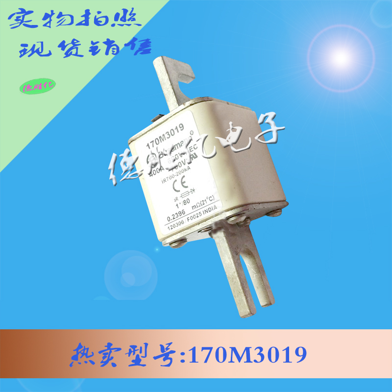170M3019 1.jpg
