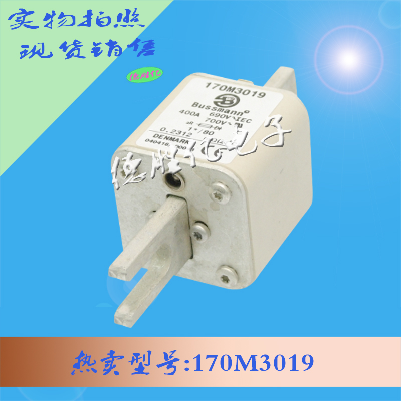 170M3019.jpg