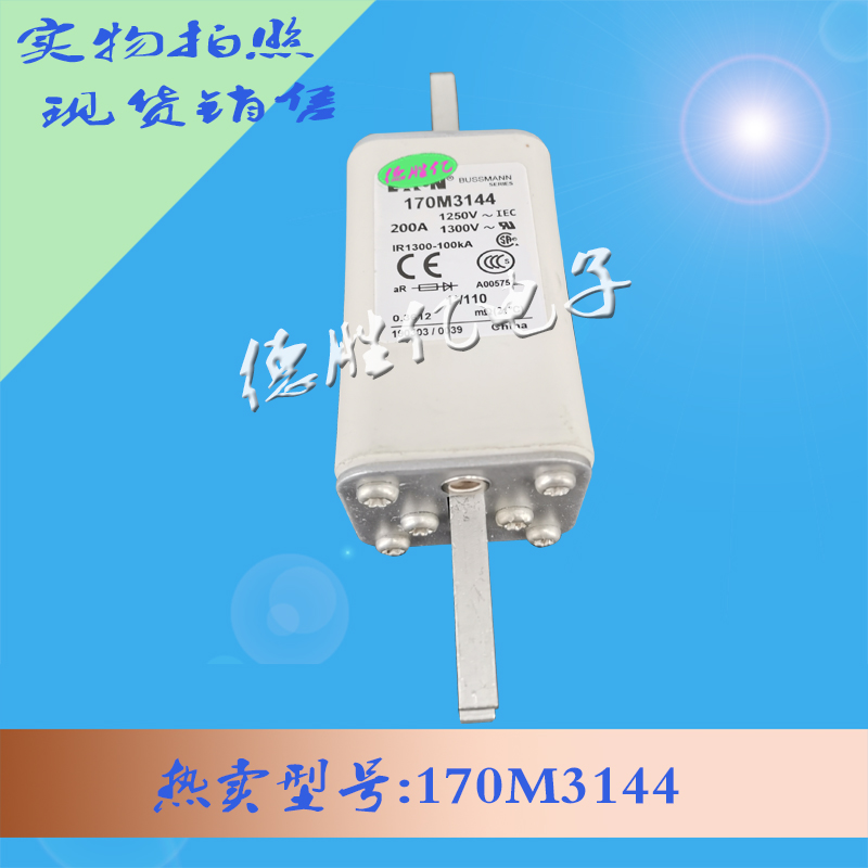 170M3144.jpg