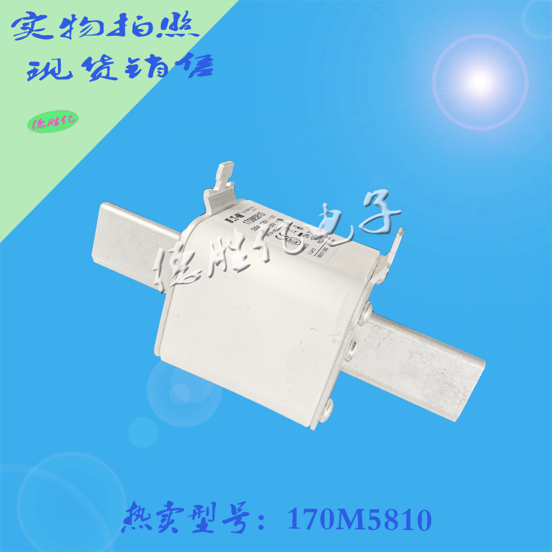 170M5810.gif 170M5810.gif