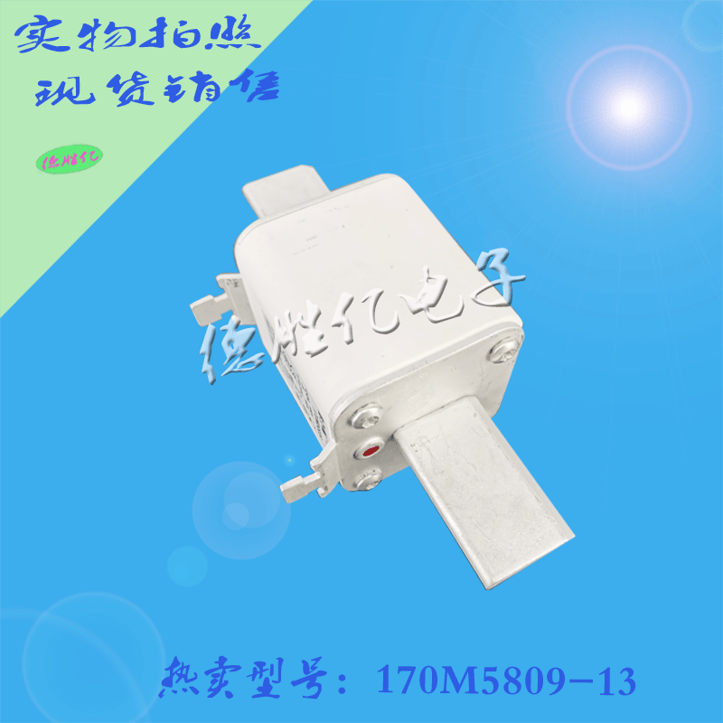 170M5809-13.gif 170M5809-13.gif