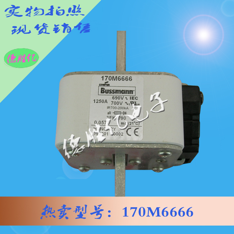 170M6666.jpg 170M6666.jpg